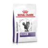 Royal Canin Expert Dental Trockenfutter Für Katzen -Haustier Alles Verkaufsgeschäft 0045239 royal canin expert dental trockenfutter fur katzen