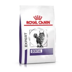 Royal Canin Expert Dental Trockenfutter Für Katzen