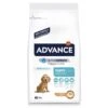 ADVANCE Baby Protect Puppy Medium 2 ADVANCE Baby Protect Puppy Medium -Haustier Alles Verkaufsgeschäft 0045573 advance baby protect puppy medium