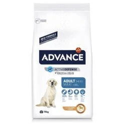 ADVANCE Maxi Adult