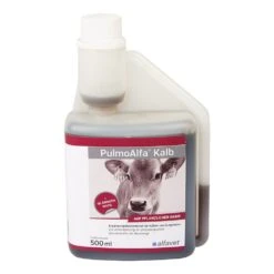 Alfavet PulmoAlfa Kalb