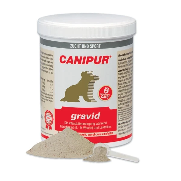 Canipur Gravid 3 Canipur Gravid