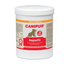 Canipur Hepafit