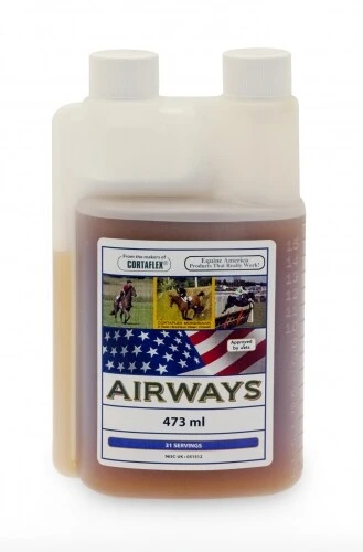 Equine America Airways 3 Equine America Airways