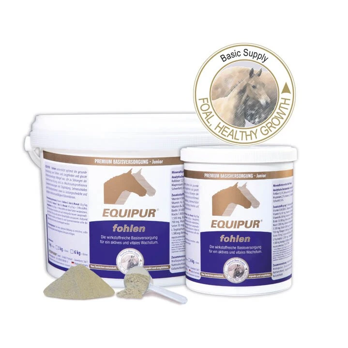 Equipur Fohlen 3 Equipur Fohlen