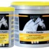 Vetoquinol Equistro Excell E Powder -Haustier Alles Verkaufsgeschäft 0046472 equistro excell e powder