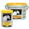 Vetoquinol Equistro Triforce 2 Vetoquinol Equistro Triforce -Haustier Alles Verkaufsgeschäft 0046489 equistro triforce