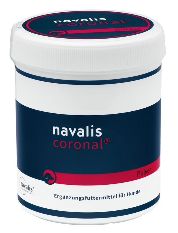 Navalis Coronal Dog 3 Navalis Coronal Dog