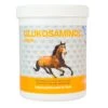 NutriLabs Glukosaminol Equin -Haustier Alles Verkaufsgeschäft 0047105 nutrilabs glukosaminol equin