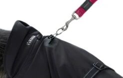 Rehab Softshell Hundedecke 8 Rehab Softshell Hundedecke -Haustier Alles Verkaufsgeschäft 0047236 rehab softshell hundedecke