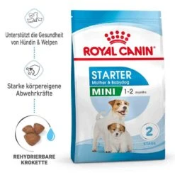Royal Canin Starter Mini