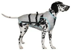 Suitical Kühlweste Für Hunde