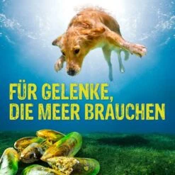 Boehringer Ingelheim Canosan Pellets -Haustier Alles Verkaufsgeschäft 0048000 boehringer ingelheim canosan pellets