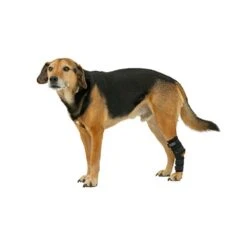 Tierarzt24 Neopren Tarsalprotektor