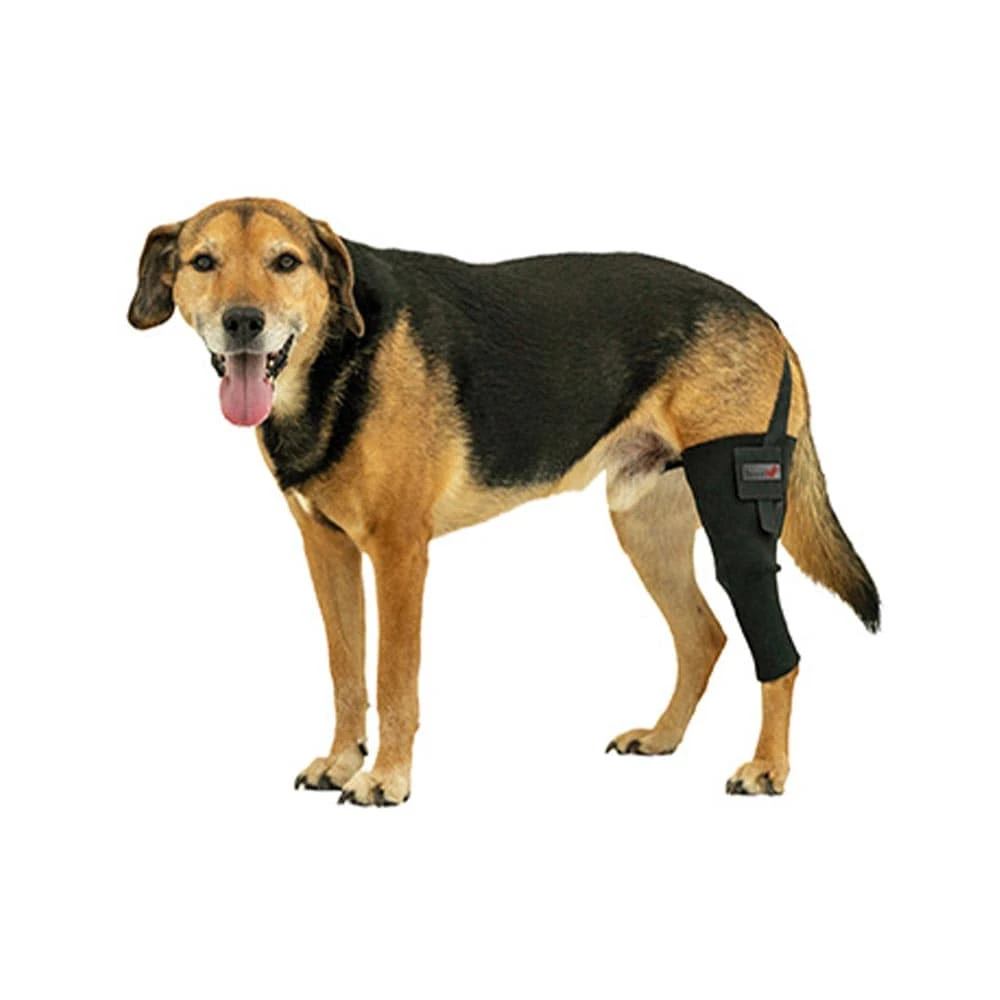 Tierarzt24 Neopren Knieprotektor Rechts 3 Tierarzt24 Neopren Knieprotektor Rechts