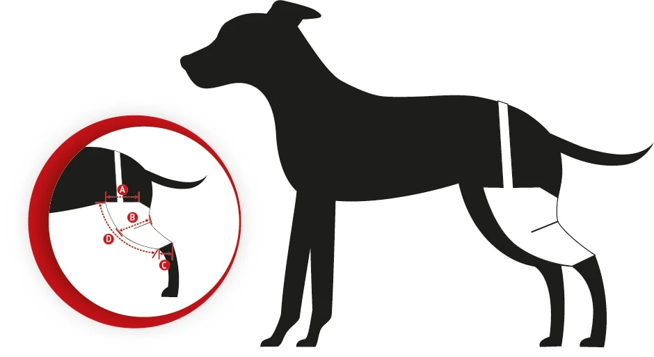 Tierarzt24 Neopren Knieprotektor Links 4 Tierarzt24 Neopren Knieprotektor Links – Bild 2