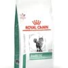 Royal Canin Veterinary Diabetic Trockenfutter Für Katzen -Haustier Alles Verkaufsgeschäft 0051377 royal canin veterinary diabetic trockenfutter fur katzen
