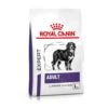 Royal Canin Expert Adult Large Dogs Trockenfutter Für Hunde -Haustier Alles Verkaufsgeschäft 0051518 royal canin expert adult large dogs trockenfutter fur hunde