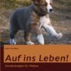 Auf Ins Leben! Grundschulplan Für Welpen 1 Auf Ins Leben! Grundschulplan Für Welpen -Haustier Alles Verkaufsgeschäft 0051633 auf ins leben grundschulplan fur welpen
