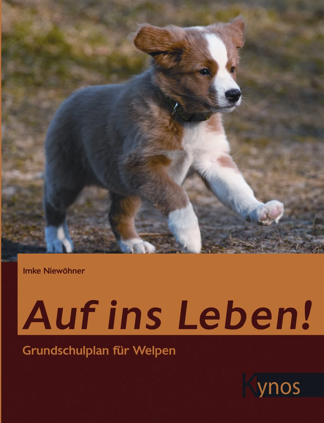 Auf Ins Leben! Grundschulplan Für Welpen 3 Auf Ins Leben! Grundschulplan Für Welpen