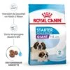 Royal Canin Giant Starter Für Tragende Hündin Und Welpen Großer Rassen 1 Royal Canin Giant Starter Für Tragende Hündin Und Welpen Großer Rassen -Haustier Alles Verkaufsgeschäft 0052985 royal canin giant starter fur tragende hundin und welpen groser rassen