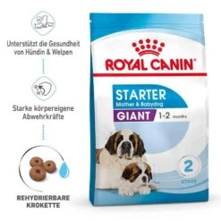Royal Canin Giant Starter Für Tragende Hündin Und Welpen Großer Rassen