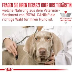 Royal Canin Veterinary Hypoallergenic Trockenfutter Für Hunde 11 Royal Canin Veterinary Hypoallergenic Trockenfutter Für Hunde -Haustier Alles Verkaufsgeschäft 0053239 royal canin veterinary hypoallergenic trockenfutter fur hunde