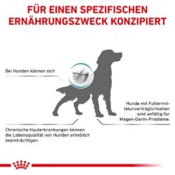 Royal Canin Veterinary Anallergenic Trockenfutter Für Hunde -Haustier Alles Verkaufsgeschäft 0053255 royal canin veterinary anallergenic trockenfutter fur hunde