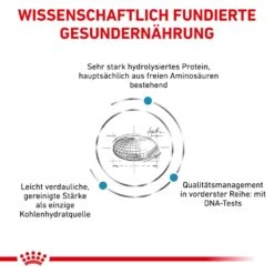 Royal Canin Veterinary Anallergenic Feline -Haustier Alles Verkaufsgeschäft 0053278 royal canin veterinary anallergenic feline