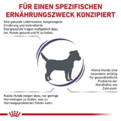 Royal Canin Expert Adult Small Dogs Trockenfutter Für Hunde 12 Royal Canin Expert Adult Small Dogs Trockenfutter Für Hunde -Haustier Alles Verkaufsgeschäft 0053475 royal canin expert adult small dogs trockenfutter fur hunde