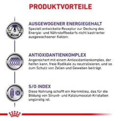 Royal Canin Expert Adult Trockenfutter Für Katzen -Haustier Alles Verkaufsgeschäft 0053481 royal canin expert adult trockenfutter fur katzen