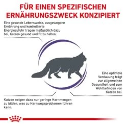 Royal Canin Expert Adult Trockenfutter Für Katzen -Haustier Alles Verkaufsgeschäft 0053482 royal canin expert adult trockenfutter fur katzen