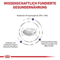 Royal Canin Expert Mature Consult Balance Trockenfutter Für Katzen 13 Royal Canin Expert Mature Consult Balance Trockenfutter Für Katzen -Haustier Alles Verkaufsgeschäft 0053491 royal canin expert mature consult balance trockenfutter fur katzen