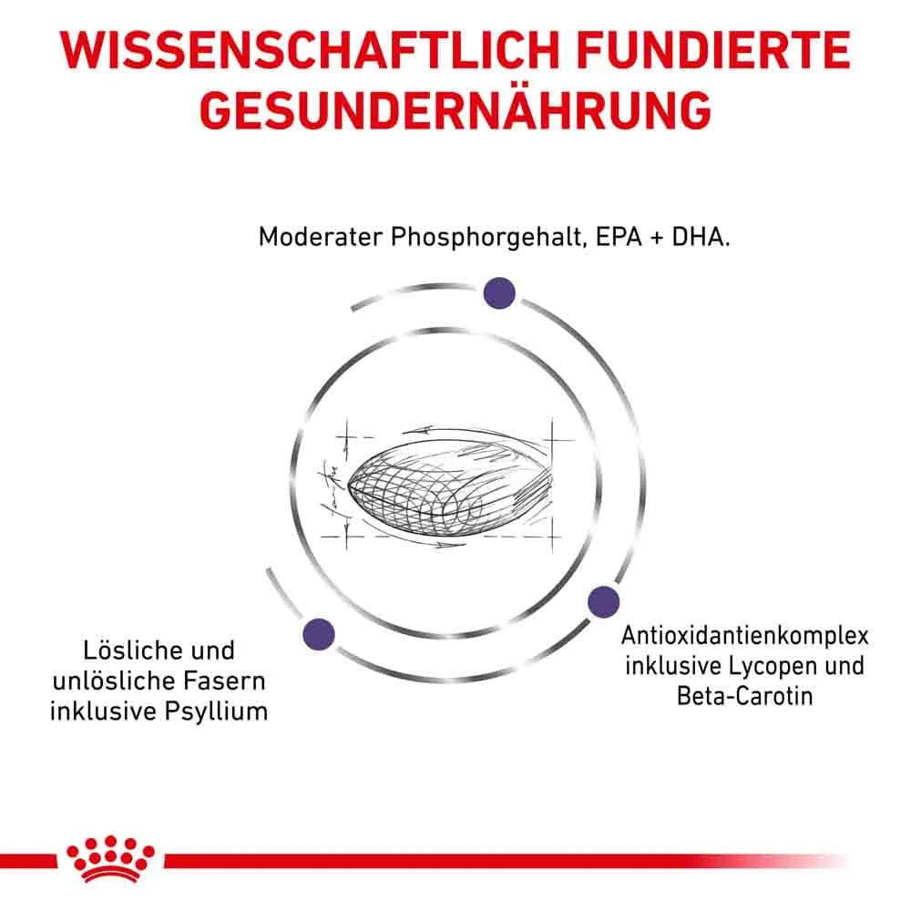 Royal Canin Expert Mature Consult Balance Trockenfutter Für Katzen 6 Royal Canin Expert Mature Consult Balance Trockenfutter Für Katzen – Bild 4