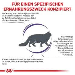 Royal Canin Expert Dental Trockenfutter Für Katzen -Haustier Alles Verkaufsgeschäft 0053502 royal canin expert dental trockenfutter fur katzen