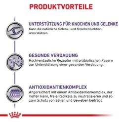 Royal Canin Expert Adult Large Dogs Trockenfutter Für Hunde -Haustier Alles Verkaufsgeschäft 0053524 royal canin expert adult large dogs trockenfutter fur hunde