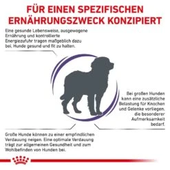 Royal Canin Expert Adult Large Dogs Trockenfutter Für Hunde -Haustier Alles Verkaufsgeschäft 0053525 royal canin expert adult large dogs trockenfutter fur hunde