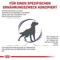 Royal Canin Expert Neutered Adult Medium Dogs Trockenfutter Für Hunde 11 Royal Canin Expert Neutered Adult Medium Dogs Trockenfutter Für Hunde -Haustier Alles Verkaufsgeschäft 0053527 royal canin expert neutered adult medium dogs trockenfutter fur hunde