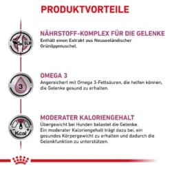 Royal Canin Veterinary Mobility Support Trockenfutter Für Hunde 11 Royal Canin Veterinary Mobility Support Trockenfutter Für Hunde -Haustier Alles Verkaufsgeschäft 0053765 royal canin veterinary mobility support trockenfutter fur hunde