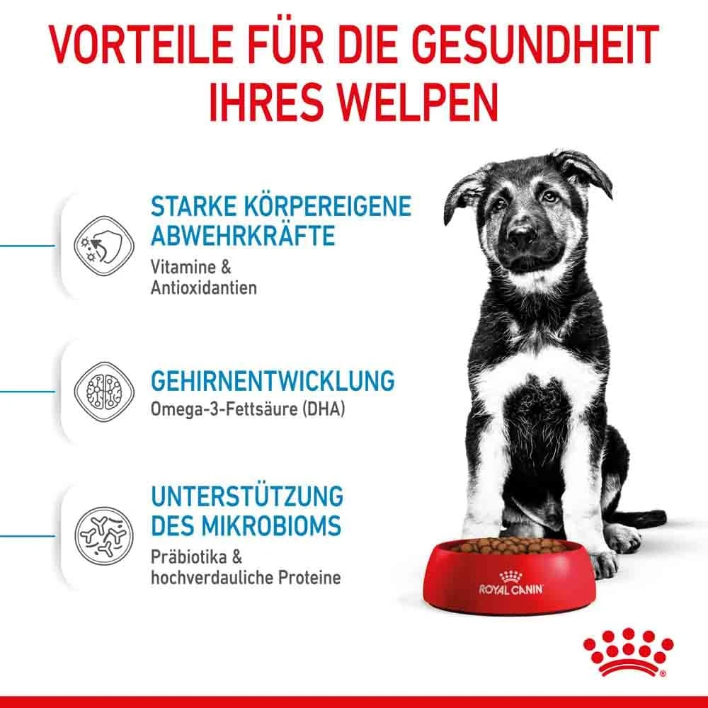 Royal Canin Maxi Puppy Trockenfutter Für Welpen Großer Rassen 6 Royal Canin Maxi Puppy Trockenfutter Für Welpen Großer Rassen – Bild 4