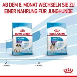 Royal Canin Giant Puppy Trockenfutter Für Welpen Sehr Großer Rassen -Haustier Alles Verkaufsgeschäft 0053829 royal canin giant puppy trockenfutter fur welpen sehr groser rassen