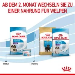 Royal Canin Giant Starter Für Tragende Hündin Und Welpen Großer Rassen 14 Royal Canin Giant Starter Für Tragende Hündin Und Welpen Großer Rassen -Haustier Alles Verkaufsgeschäft 0053854 royal canin giant starter fur tragende hundin und welpen groser rassen