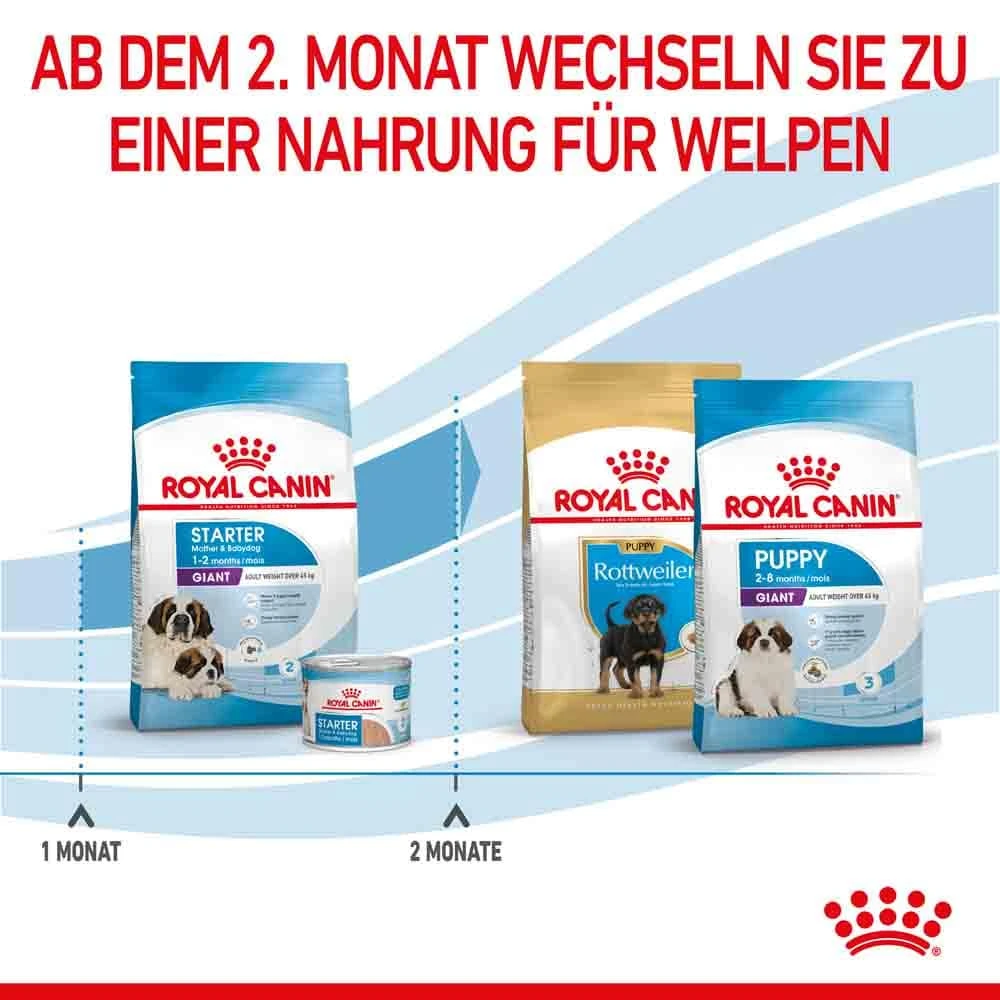Royal Canin Giant Starter Für Tragende Hündin Und Welpen Großer Rassen 8 Royal Canin Giant Starter Für Tragende Hündin Und Welpen Großer Rassen – Bild 6