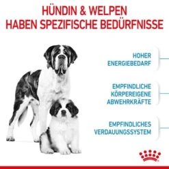Royal Canin Giant Starter Für Tragende Hündin Und Welpen Großer Rassen 11 Royal Canin Giant Starter Für Tragende Hündin Und Welpen Großer Rassen -Haustier Alles Verkaufsgeschäft 0053855 royal canin giant starter fur tragende hundin und welpen groser rassen