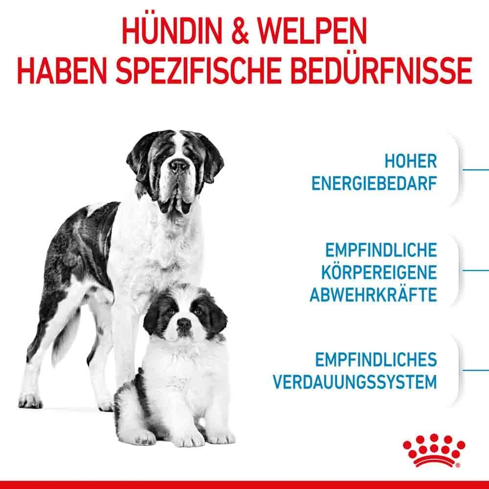 Royal Canin Giant Starter Für Tragende Hündin Und Welpen Großer Rassen 5 Royal Canin Giant Starter Für Tragende Hündin Und Welpen Großer Rassen – Bild 3
