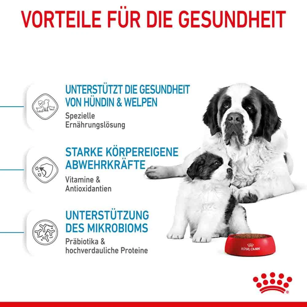 Royal Canin Giant Starter Für Tragende Hündin Und Welpen Großer Rassen 6 Royal Canin Giant Starter Für Tragende Hündin Und Welpen Großer Rassen – Bild 4