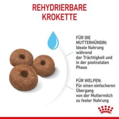 Royal Canin Giant Starter Für Tragende Hündin Und Welpen Großer Rassen 13 Royal Canin Giant Starter Für Tragende Hündin Und Welpen Großer Rassen -Haustier Alles Verkaufsgeschäft 0053859 royal canin giant starter fur tragende hundin und welpen groser rassen