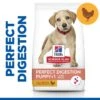 Hills Science Plan Perfect Digestion Large Breed Welpenfutter Mit Huhn Und Braunem Reis