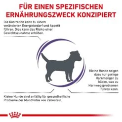 Royal Canin Expert Neutered Adult Small Dogs Trockenfutter Für Hunde -Haustier Alles Verkaufsgeschäft 0054298 royal canin expert neutered adult small dogs trockenfutter fur hunde