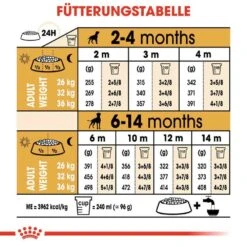 Royal Canin Boxer Puppy Welpenfutter Trocken 16 Royal Canin Boxer Puppy Welpenfutter Trocken -Haustier Alles Verkaufsgeschäft 0054561 royal canin boxer puppy welpenfutter trocken